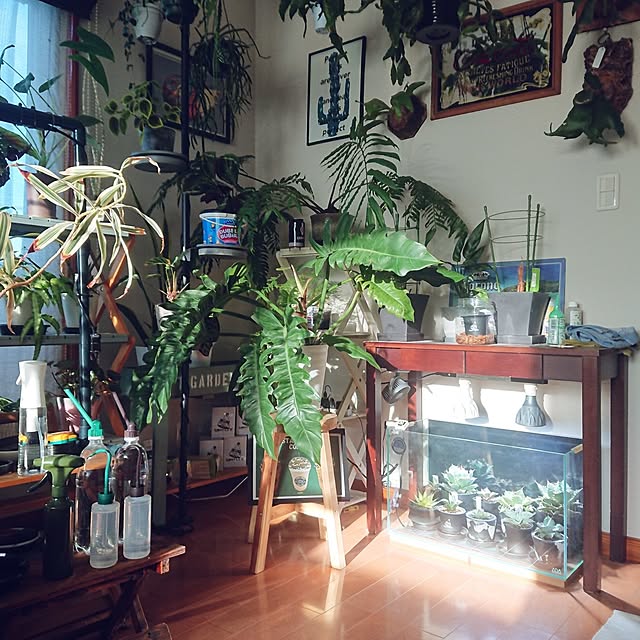ot-gardenさんの部屋