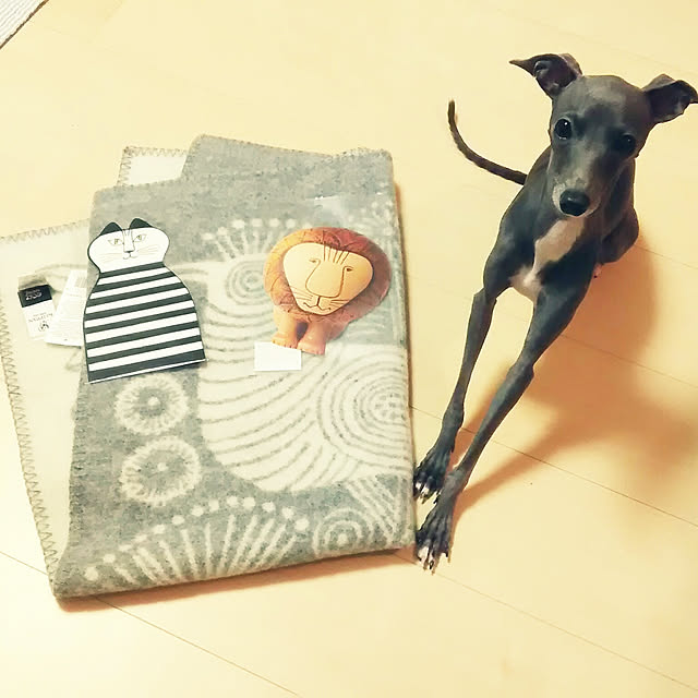 sachiさんの実例写真