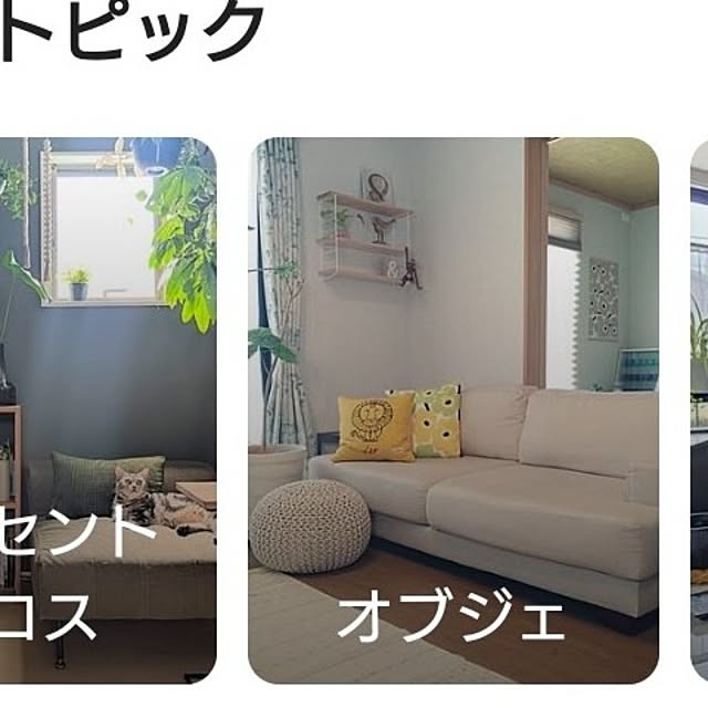 tan5さんの実例写真