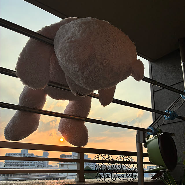 koshiregutyoさんの部屋