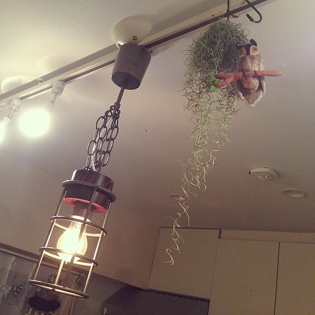 sunnyさんの実例写真