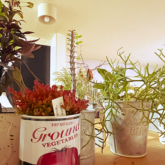 mamanさんの実例写真