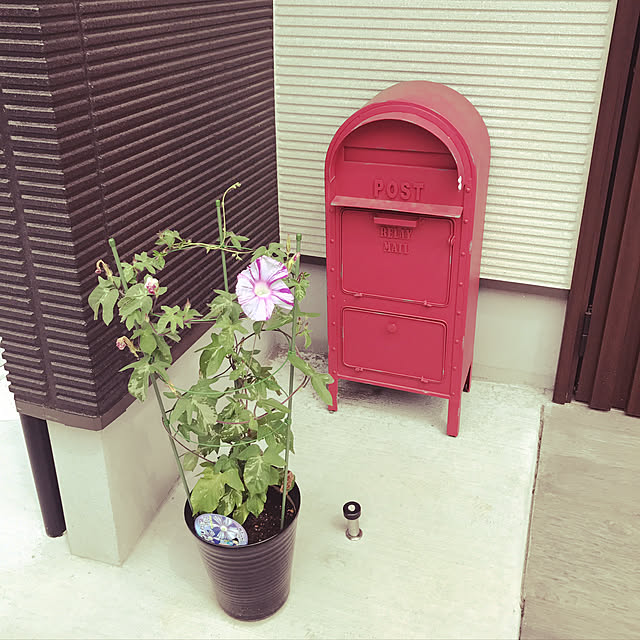 tadatomoさんの実例写真