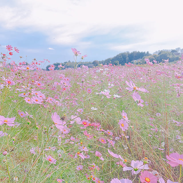 akiko-ovさんの部屋