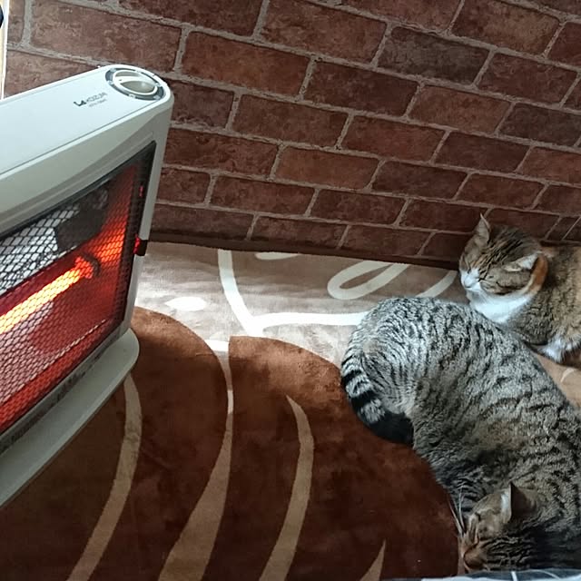 berariさんの実例写真