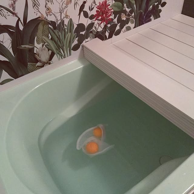 futukoさんの実例写真