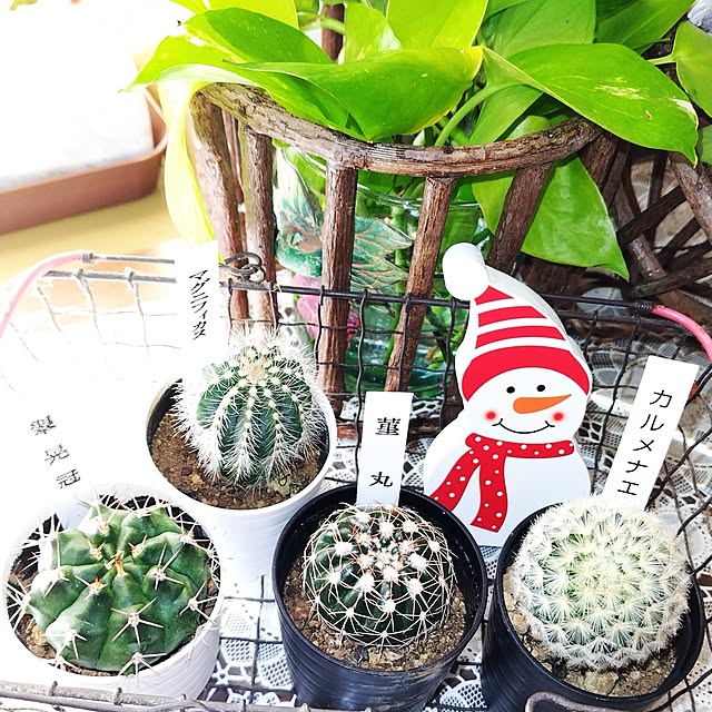 katさんの実例写真