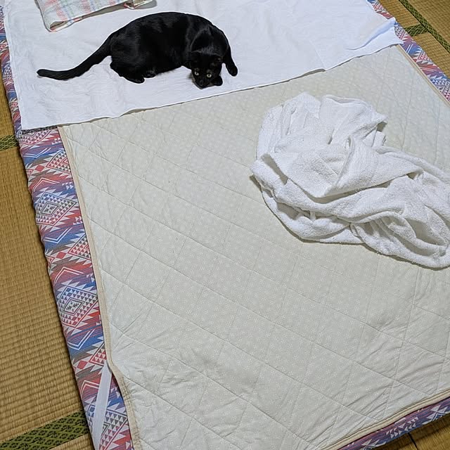 asaさんの部屋