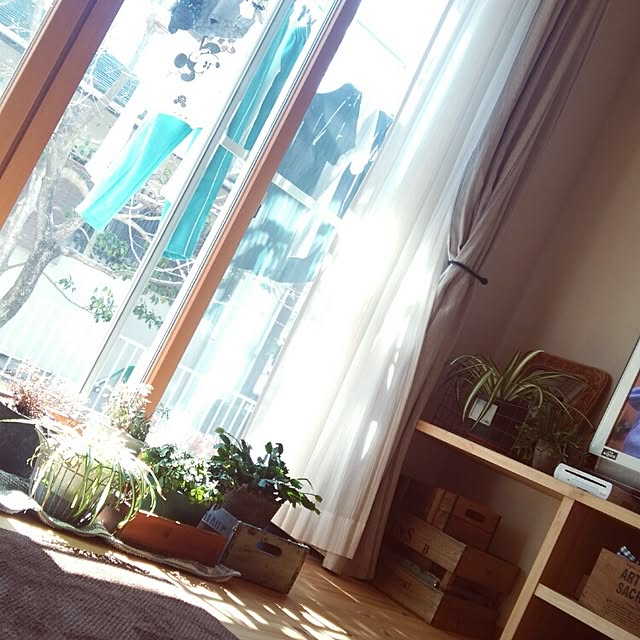 fujiさんの実例写真