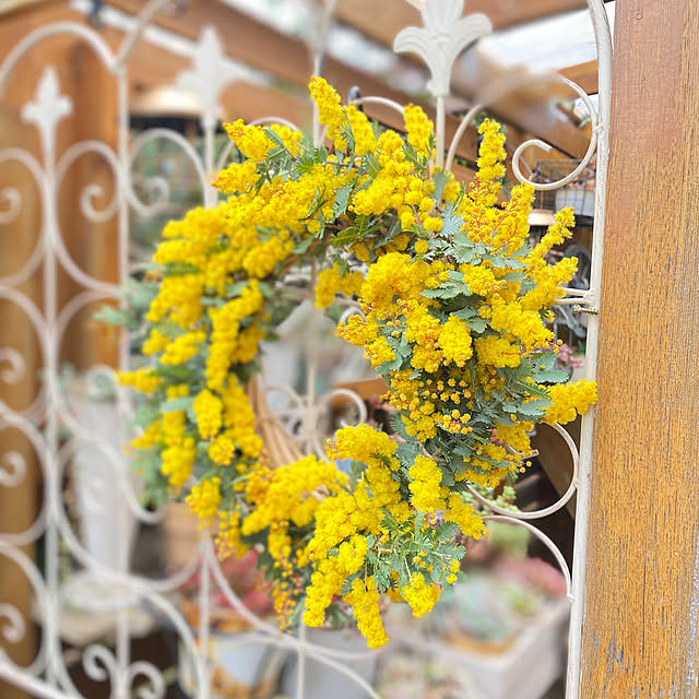 mintteaさんの部屋