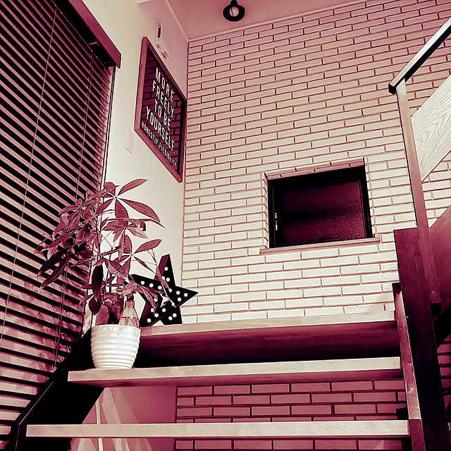 amon2011amonさんの実例写真