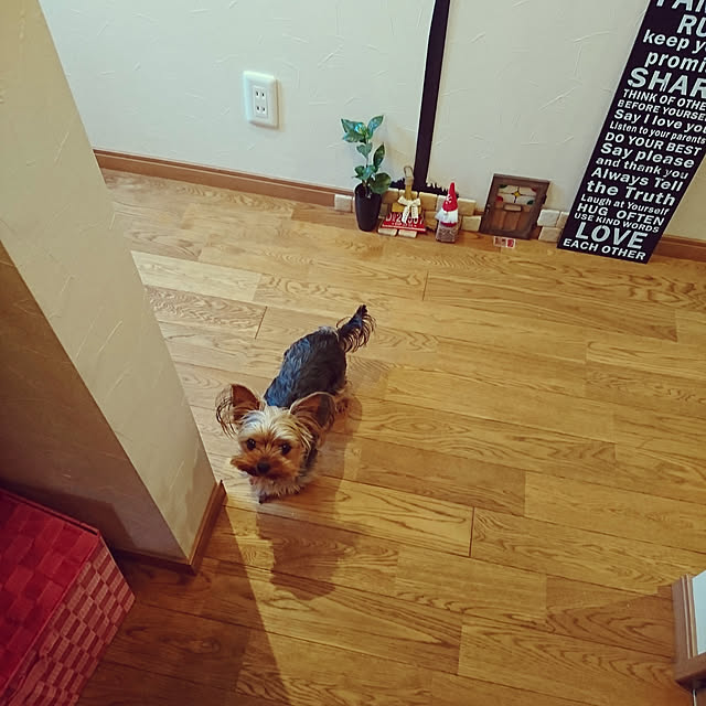 akiさんの実例写真