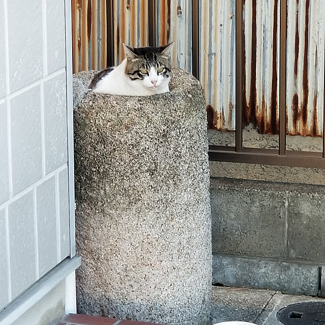 kominka_Lifeさんの実例写真
