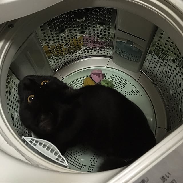 nakachanさんの実例写真