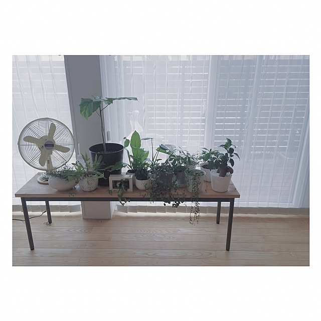 mocoさんの実例写真