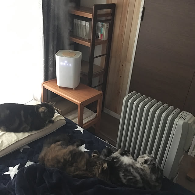 mikomaruさんの実例写真