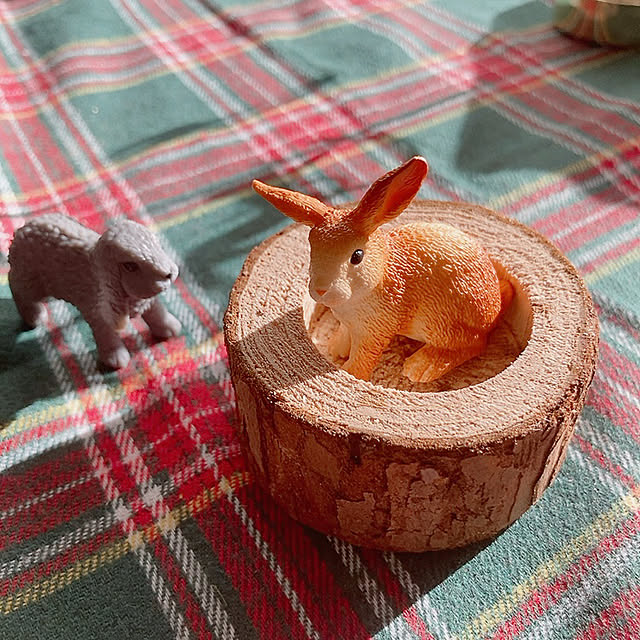 n.kiki.aさんの実例写真