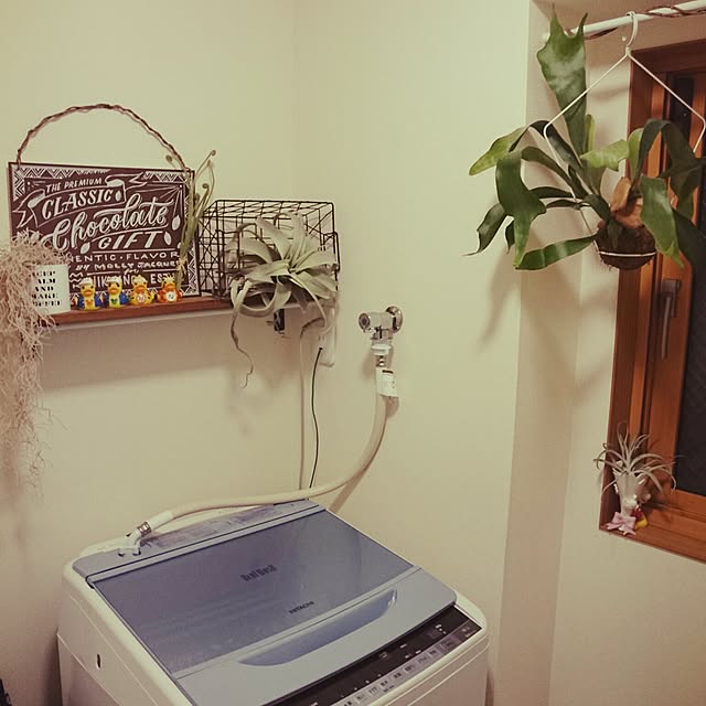 yomogiさんの実例写真