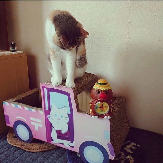 fukuさんの実例写真