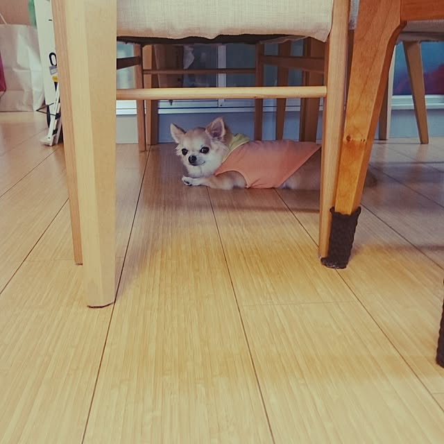 Norikoさんの実例写真