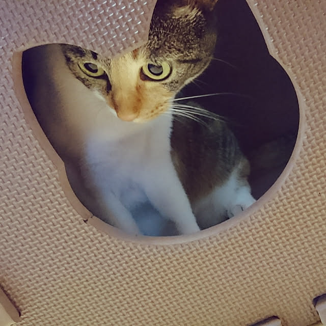 kmokhoさんの実例写真