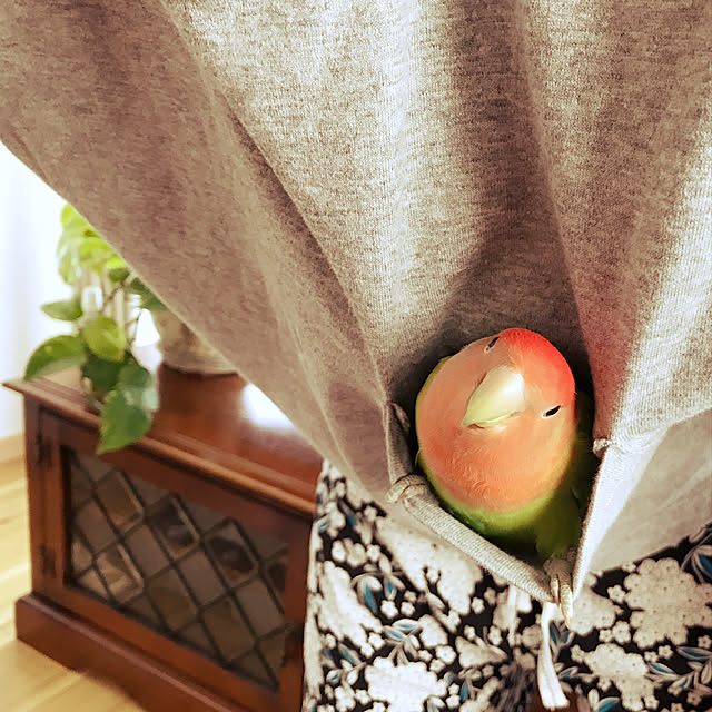 実例写真