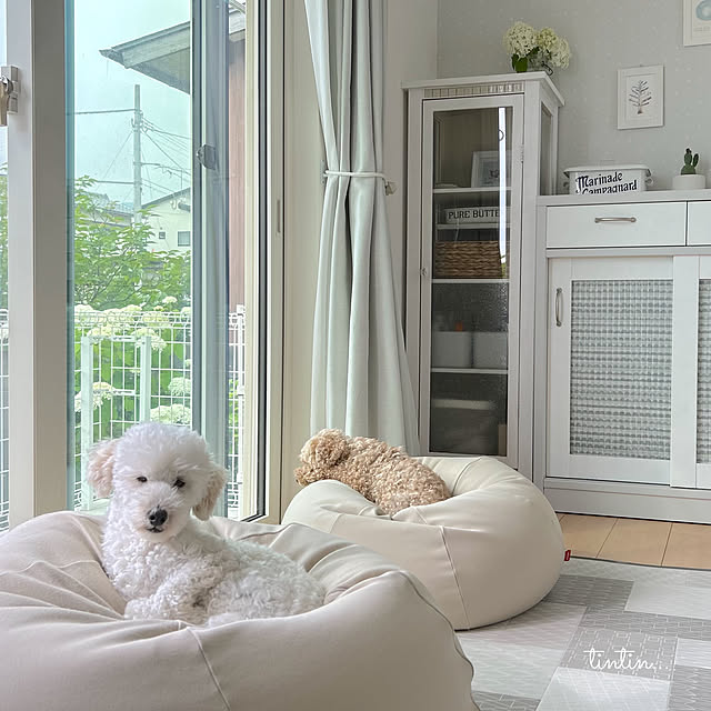 tintinさんの部屋