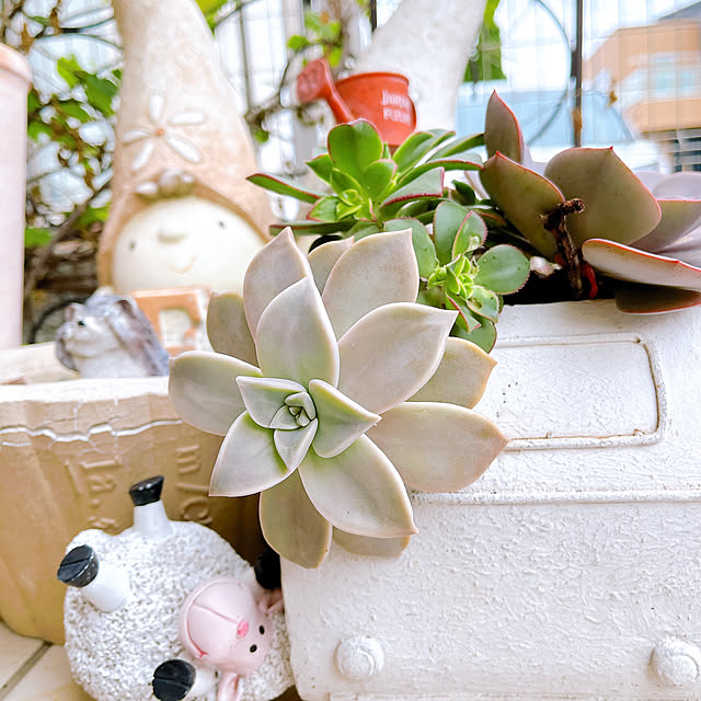 eriharuさんの実例写真