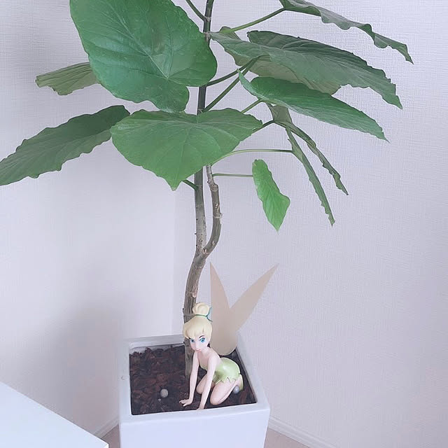 pimさんの実例写真