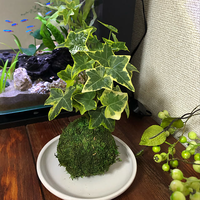 kayokoさんの実例写真