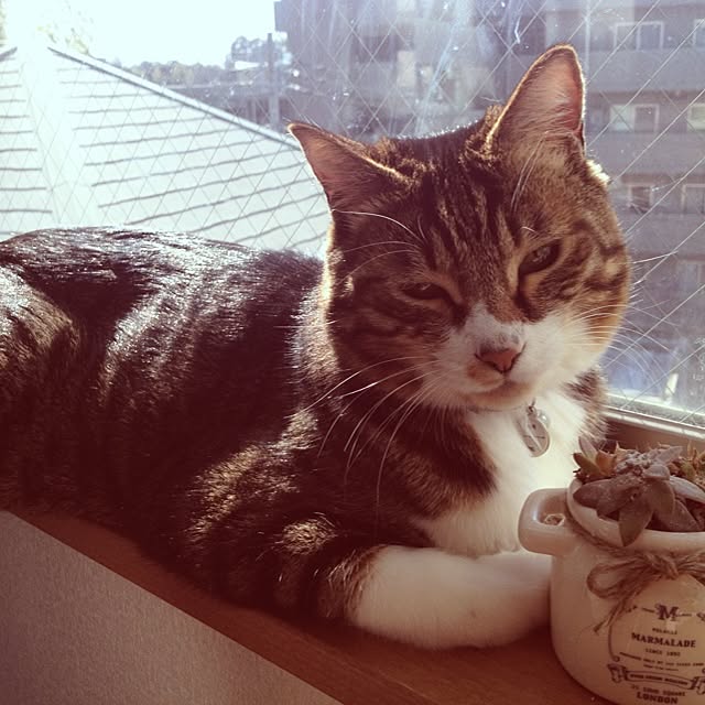 marieさんの実例写真