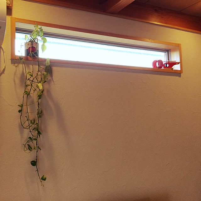 Yoko4Monkさんの実例写真