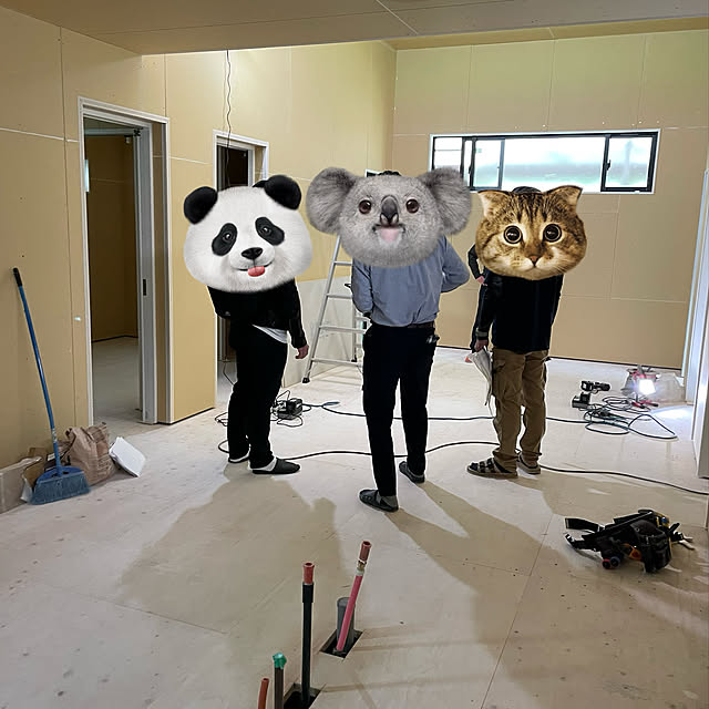 実例写真