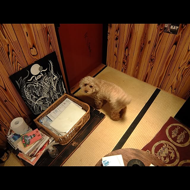 玄関/入り口のインテリア実例 - 2015-02-22 19:08:21
