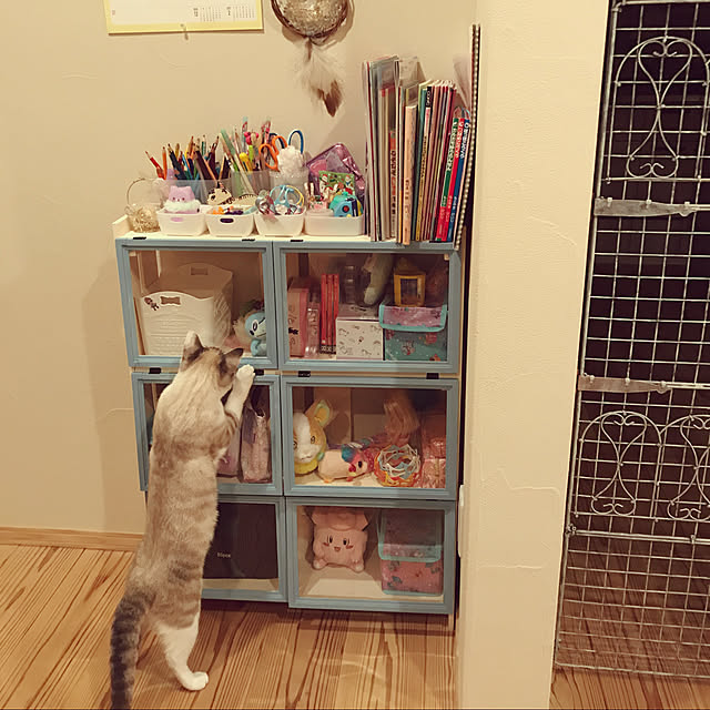 nekomoriさんの実例写真
