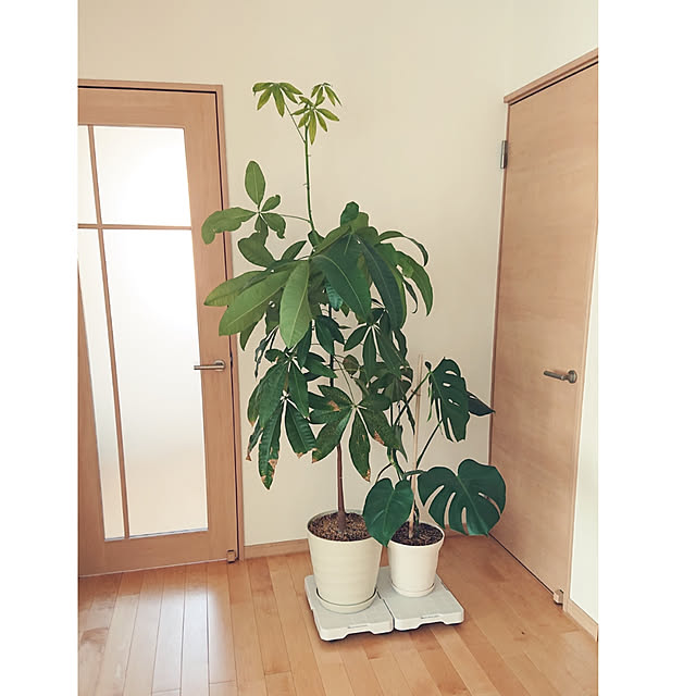 MIARIさんの実例写真