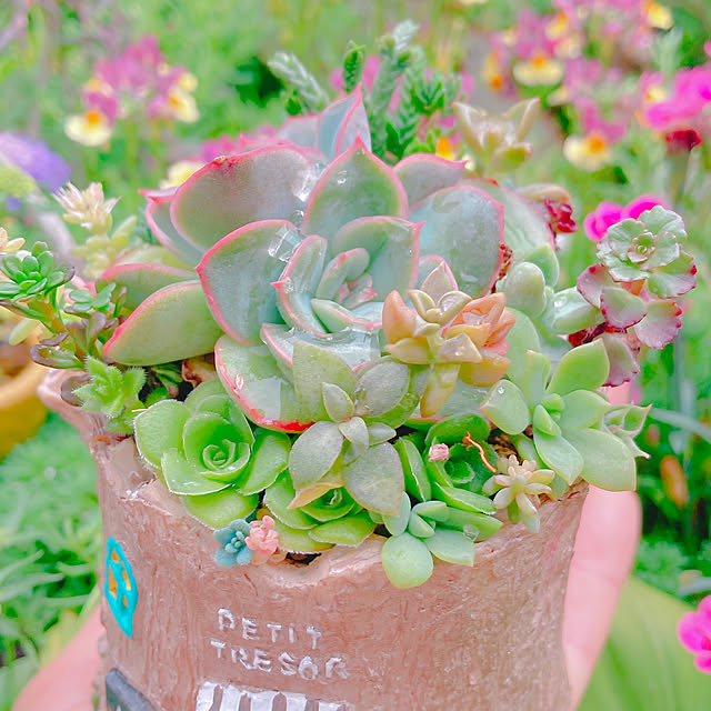 Hanakaさんの実例写真