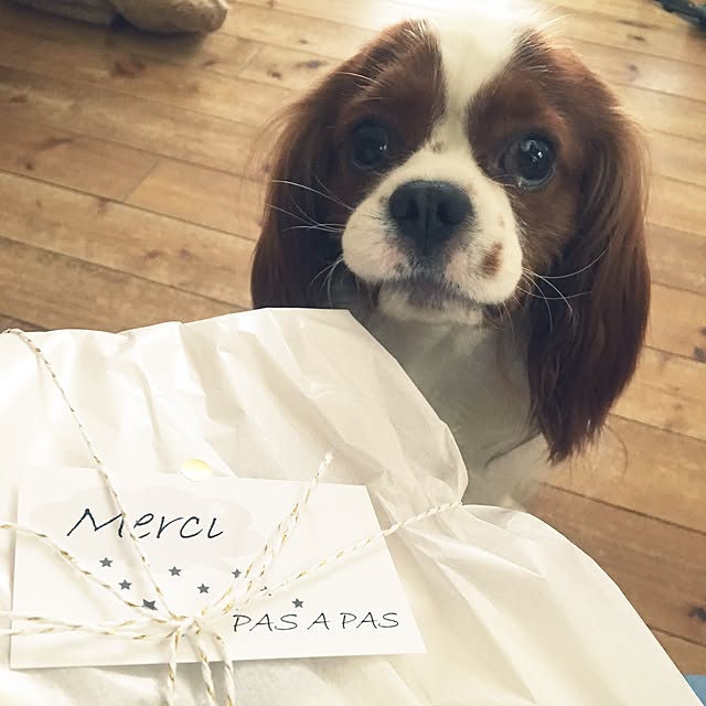 miyaさんの実例写真