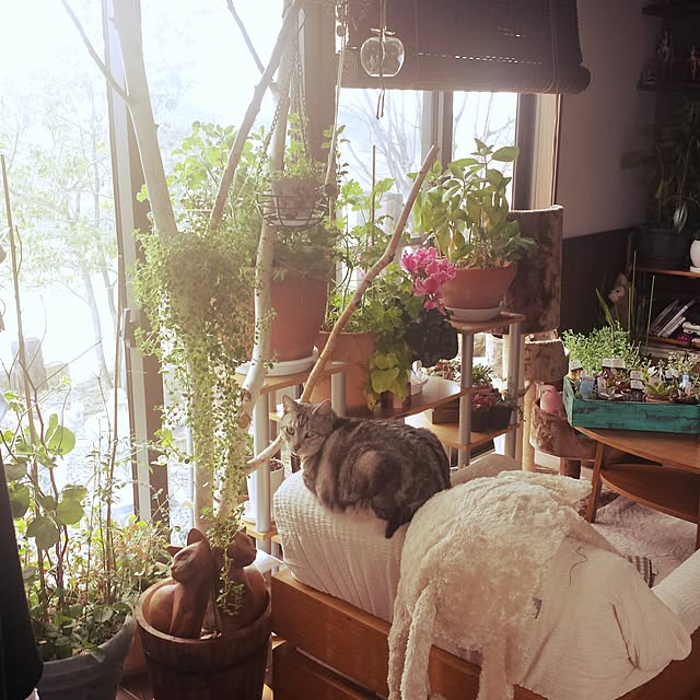 mikiさんの実例写真