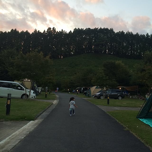 実例写真