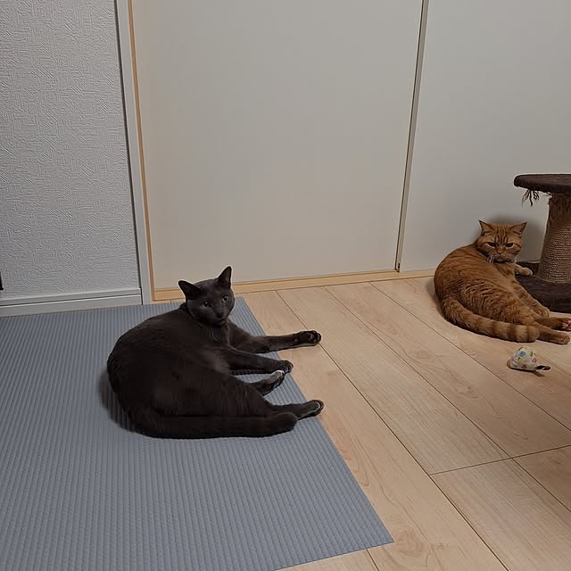 asahinaさんの実例写真