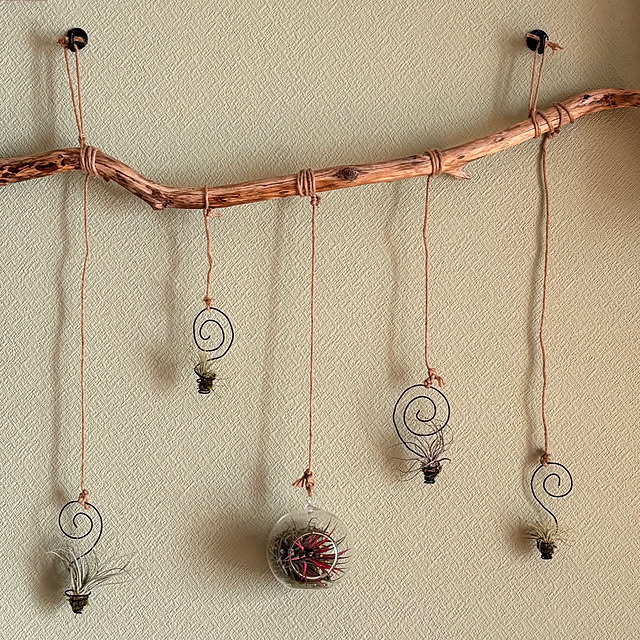 ANDYさんの実例写真