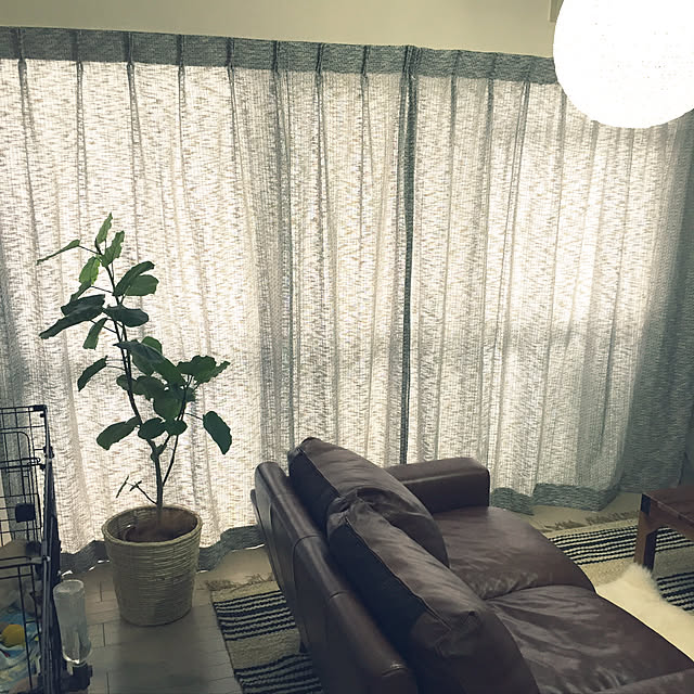 Yukariさんの実例写真