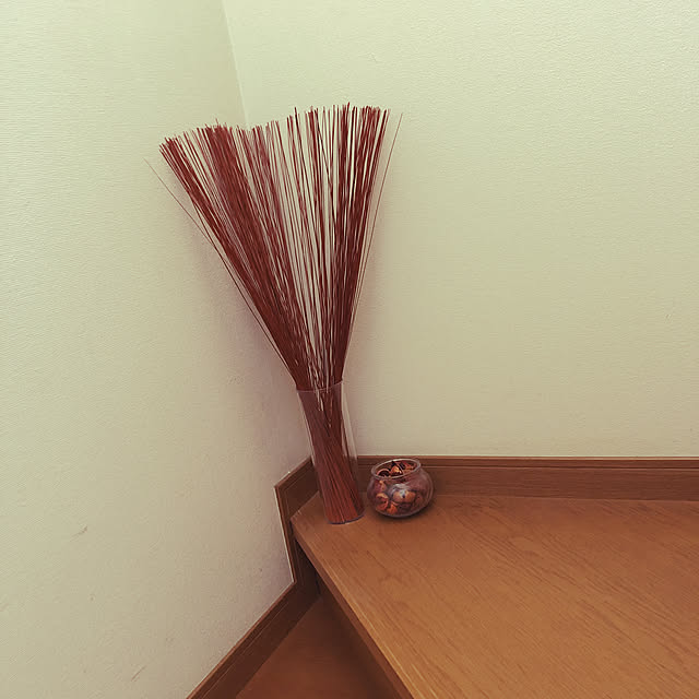 mocoさんの実例写真