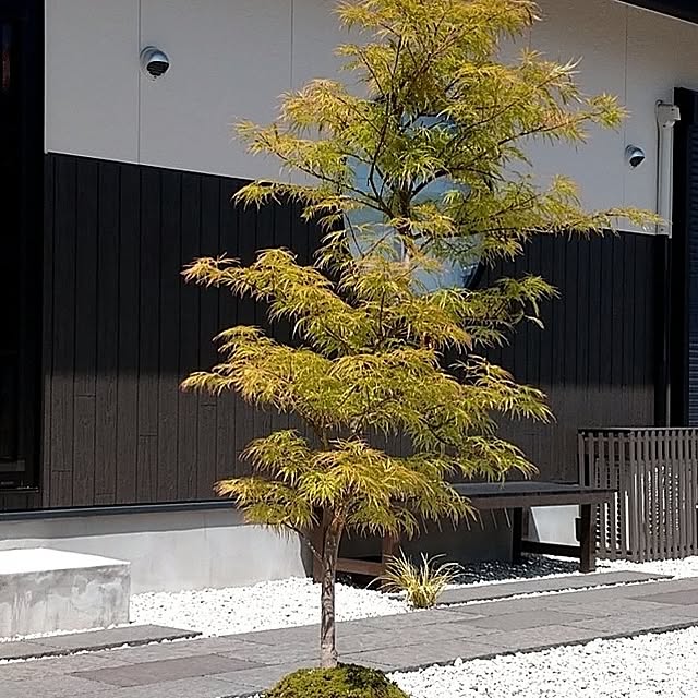 5160ksさんの実例写真