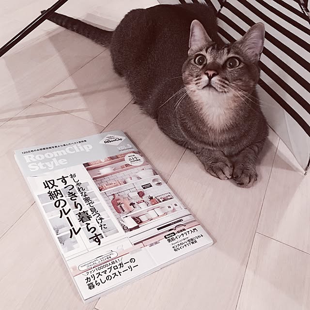Reikoさんの実例写真