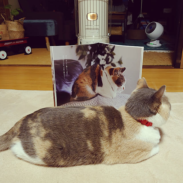 fukuさんの実例写真