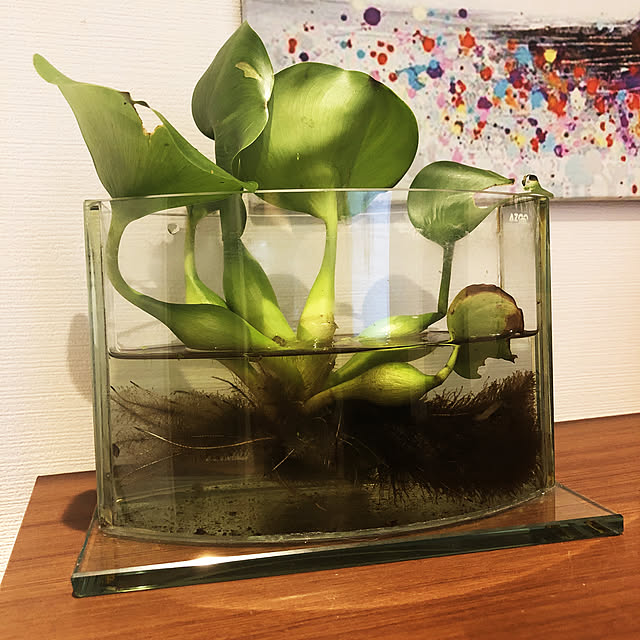 yunchiさんの実例写真