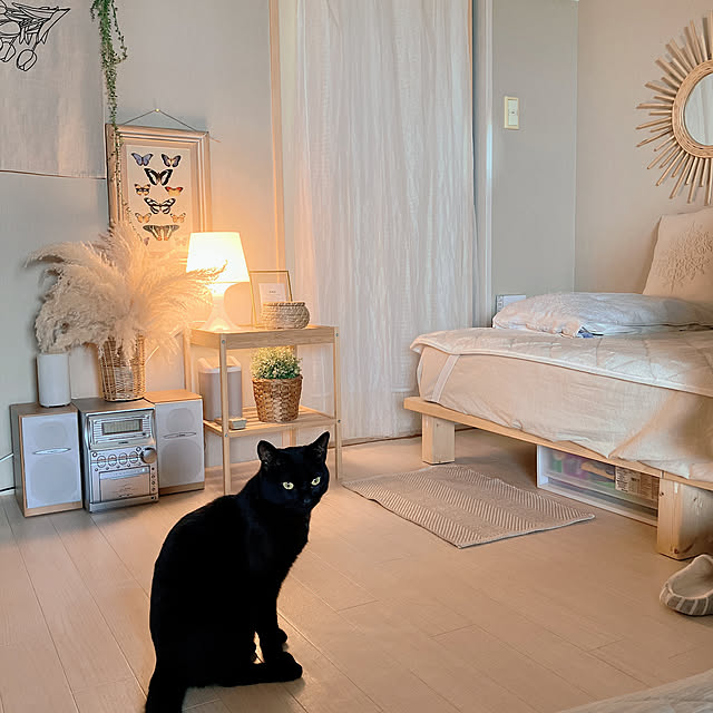 nekomiさんの部屋