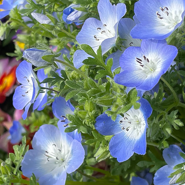 namecoさんの部屋